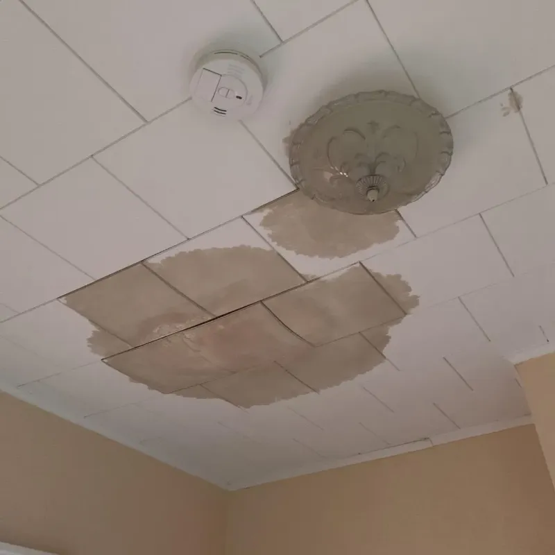 Ceiling Water Damage Repair in Frazee, MN