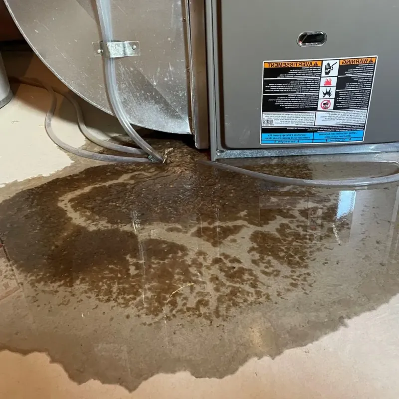 Pipe Burst and Leak Restoration in Frazee, MN