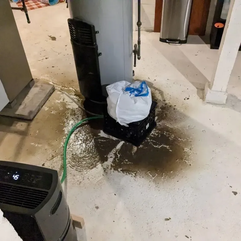 Sewage Backup Cleanup Service in Frazee, MN